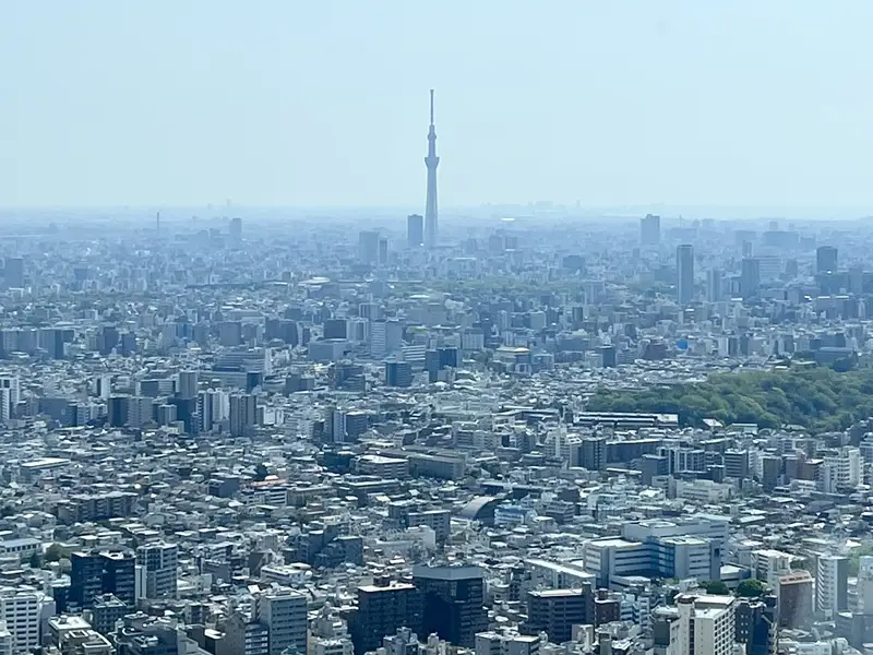 サンシャイン展望台 てんぼうパーク 南東のスカイツリー