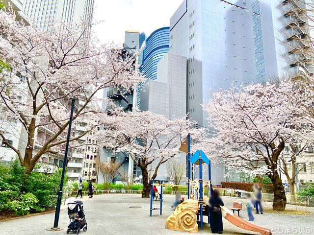 東池袋公園 お花見