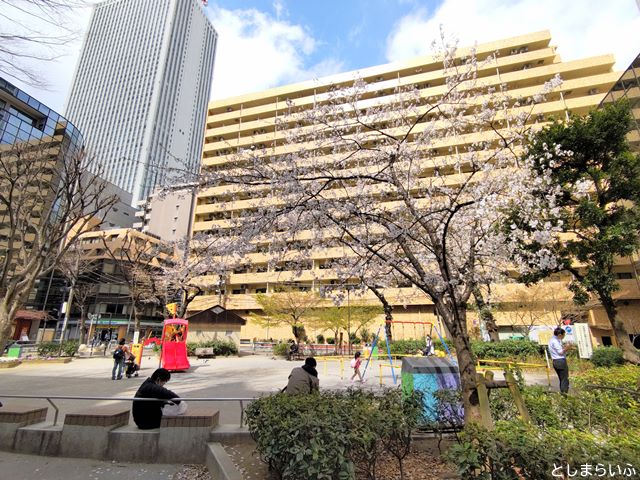 日出町公園 桜