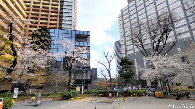 日出町公園 桜の木