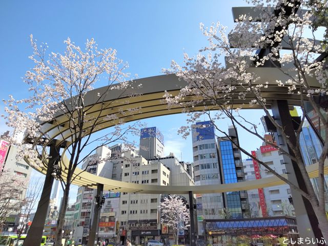 池袋西口公園 桜