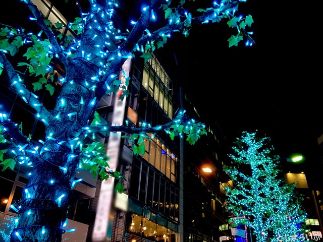 池袋 街路樹のイルミネーション