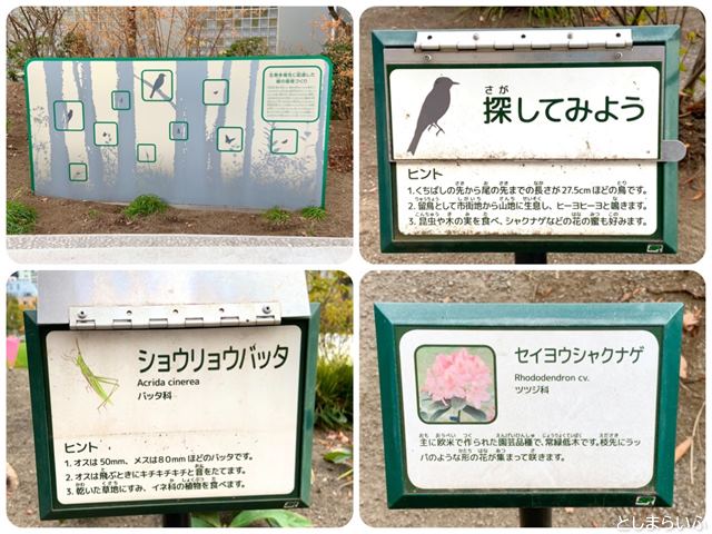 南池袋公園の植物や生き物