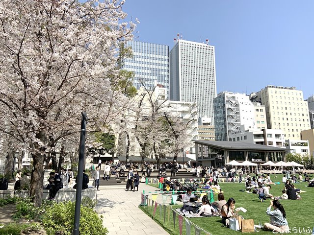 南池袋公園 お花見