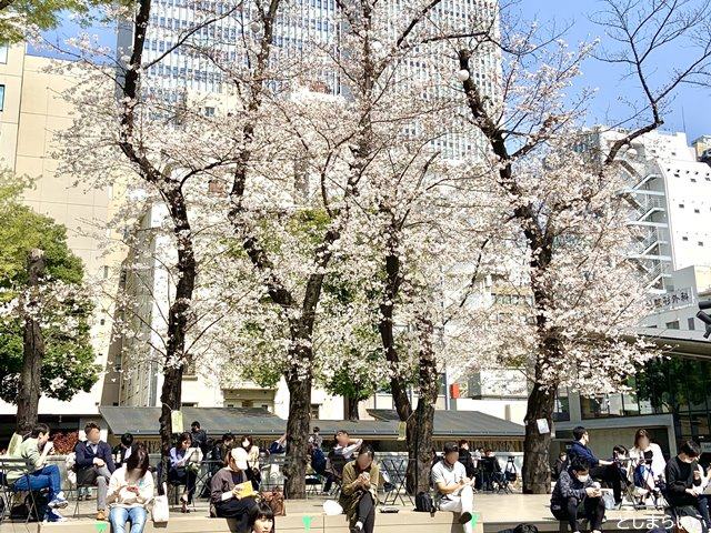 南池袋公園のサクラテラス