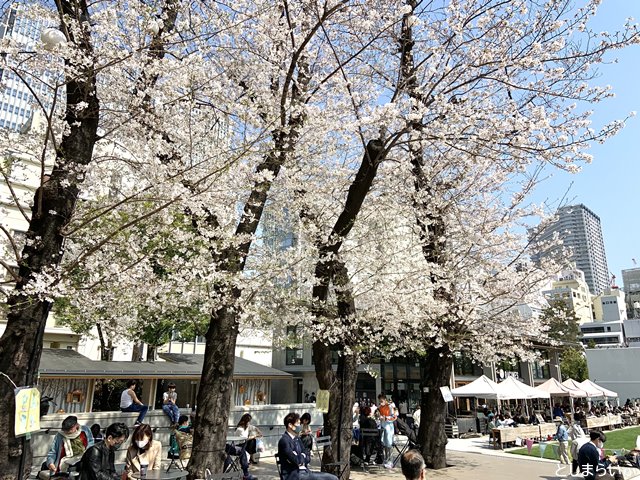 南池袋公園のサクラテラスでお花見する人々