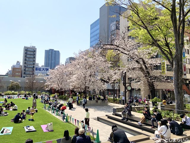 南池袋公園の花見客