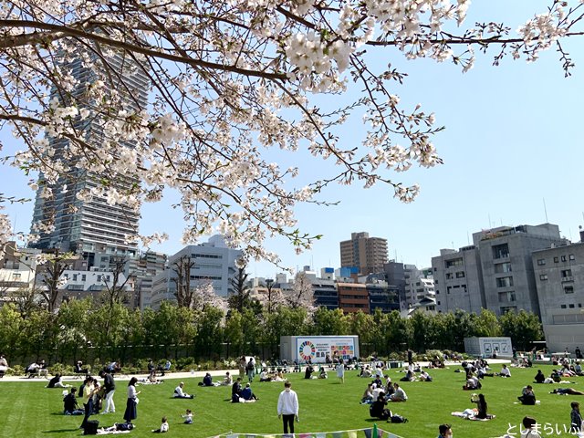 南池袋公園の桜と花見する人たち