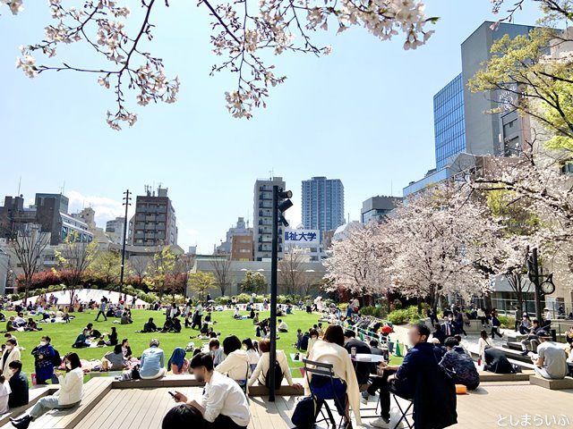 南池袋公園サクラテラスから見た桜