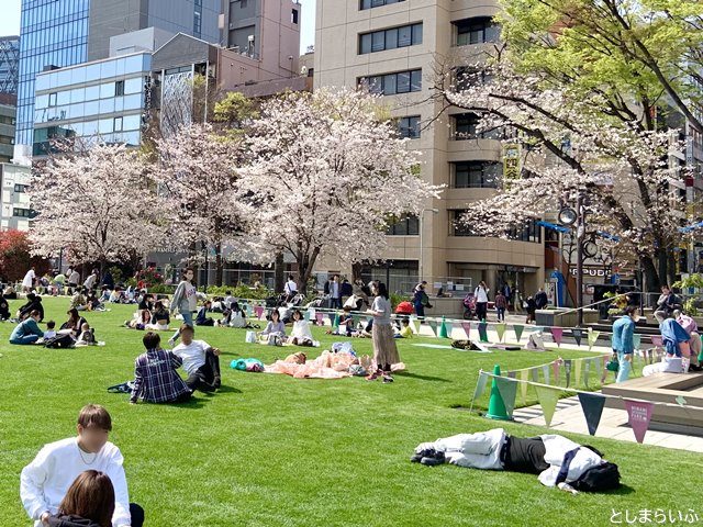 南池袋公園の芝生でお花見