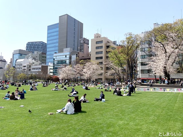 桜と芝生が綺麗な南池袋公園