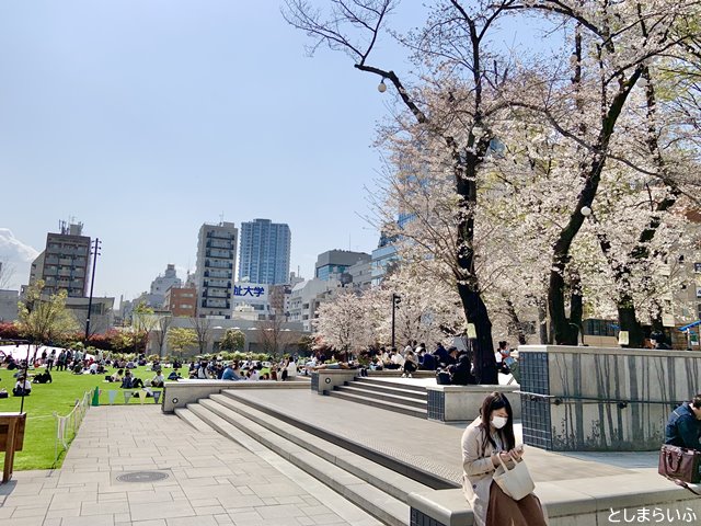 桜が満開の南池袋公園