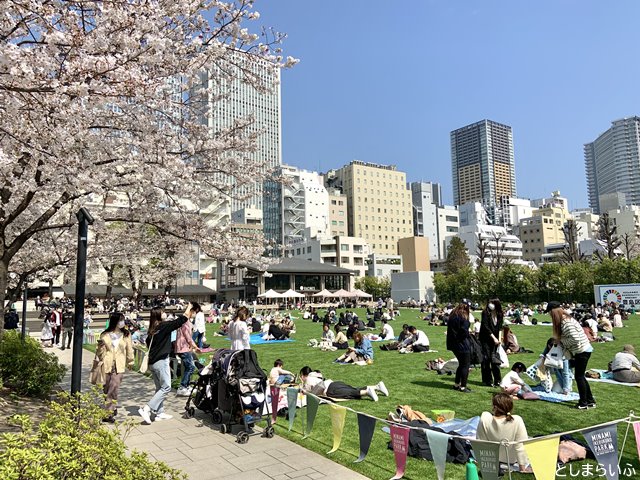 南池袋公園 お花見