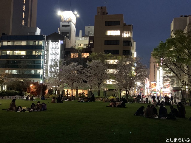 南池袋公園 夜桜