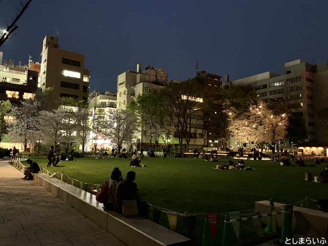 南池袋公園 夜の芝生