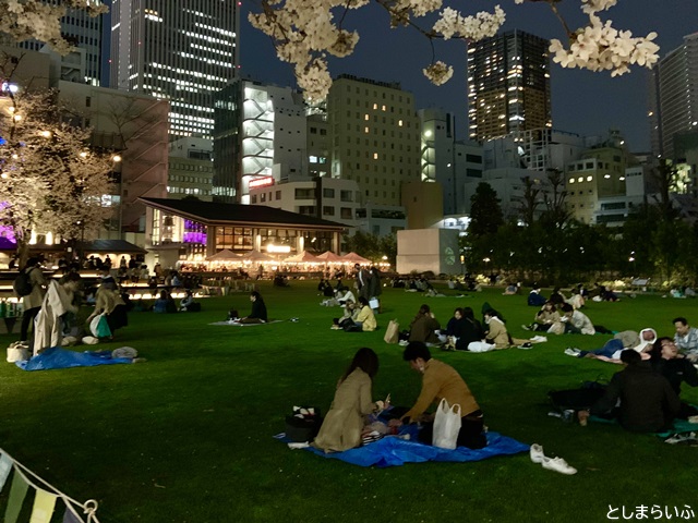 南池袋公園 夜景と夜桜花見