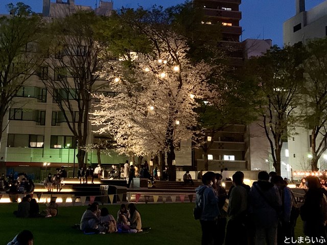 南池袋公園 サクラテラスの夜桜