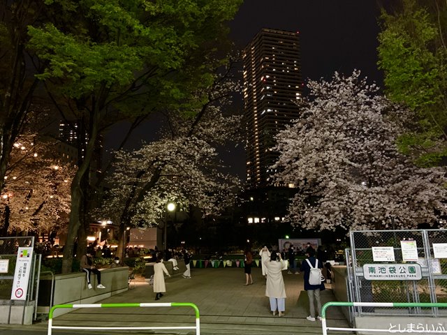 南池袋公園 入り口の夜桜