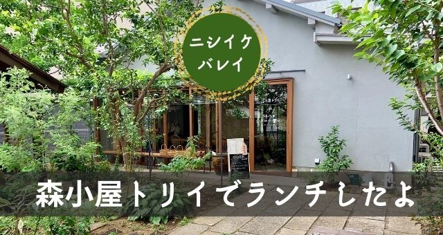 ニシイケバレイの森小屋トリイでランチ定食を食べたよ