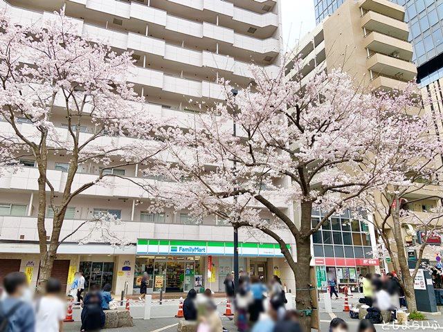 中池袋公園 桜