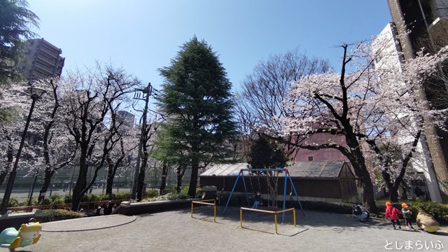 西池袋公園 遊具と桜