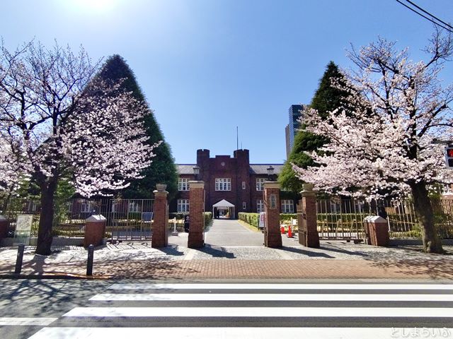 立教大学正門 桜