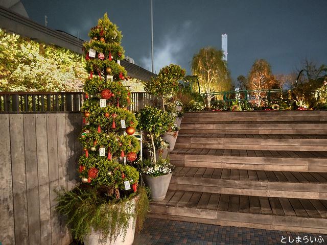 食と緑の空中庭園 クリスマスツリー