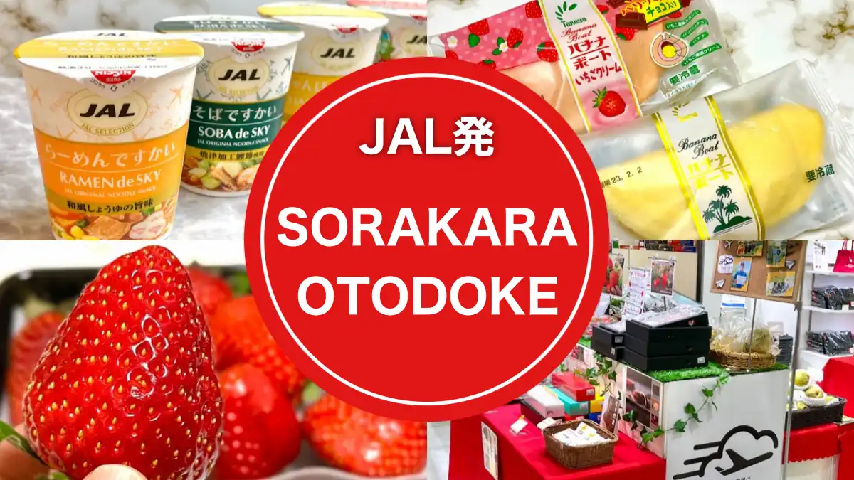 SORAKARA OTODOKE